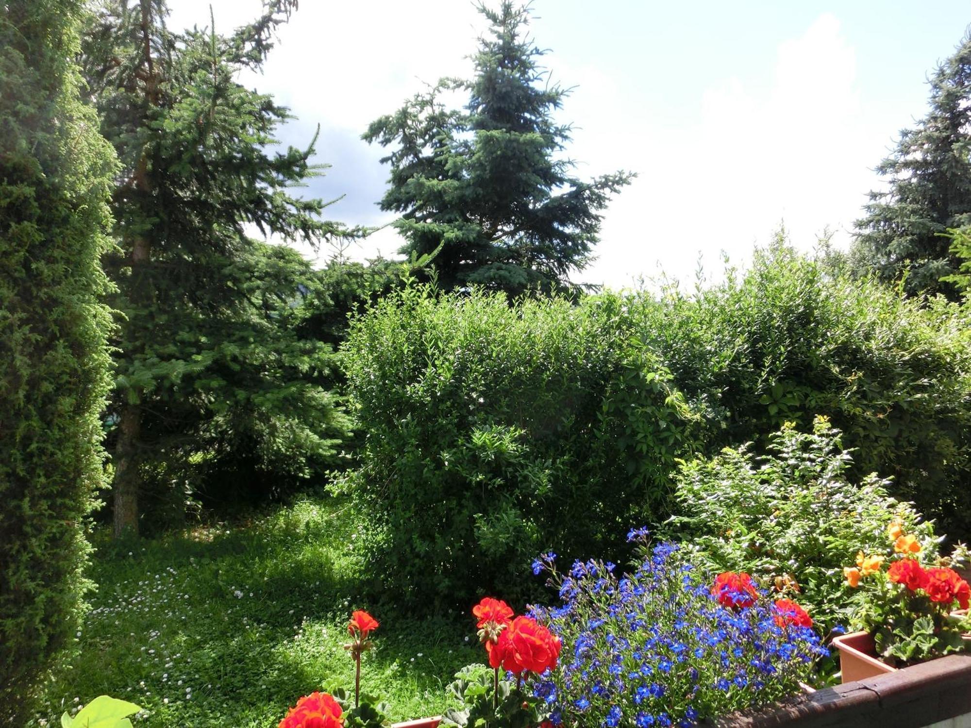 Holiday Home In Cattenstedt Harz With Garden Экстерьер фото
